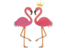 flamingospa